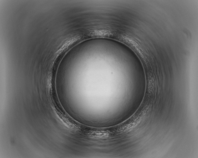 X0000111600443200907161556