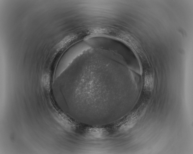X0000111600444200907161556