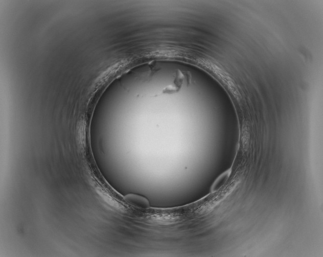 X0000111600445200907161556