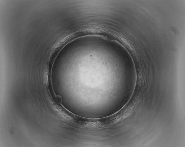 X0000111600446200907161556