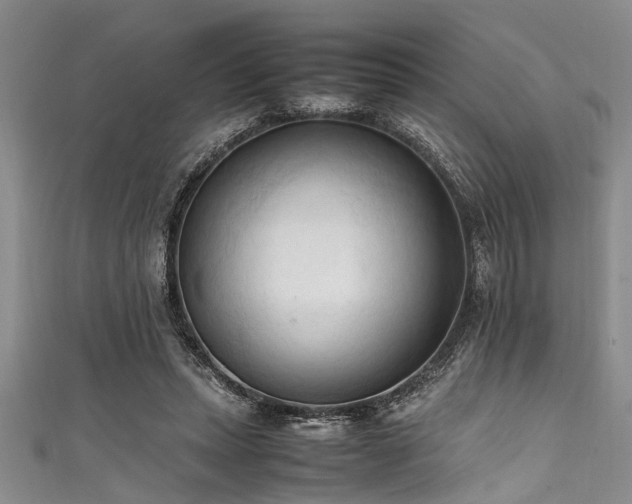 X0000111600447200907161556