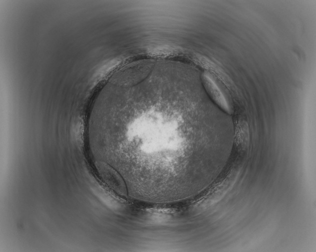 X0000111600448200907161556