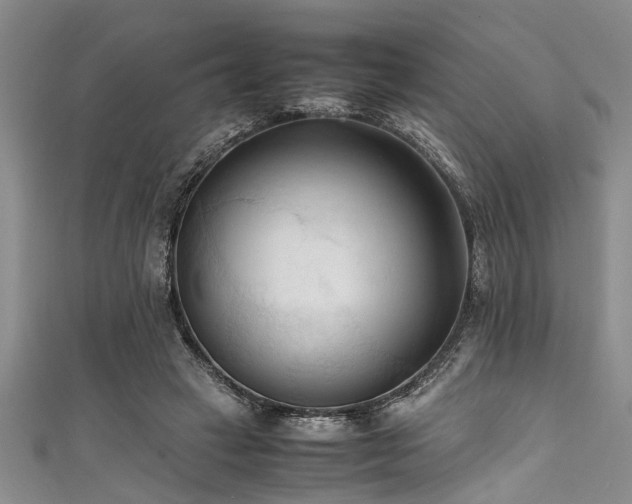 X0000111600449200907161556