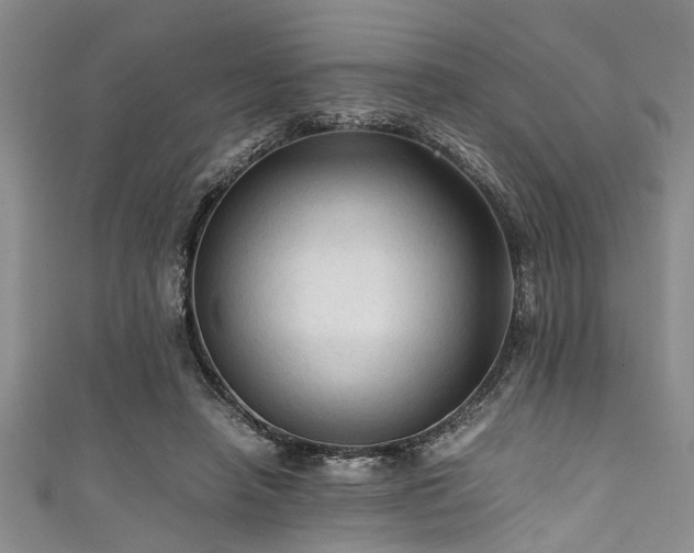 X0000111600450200907161556