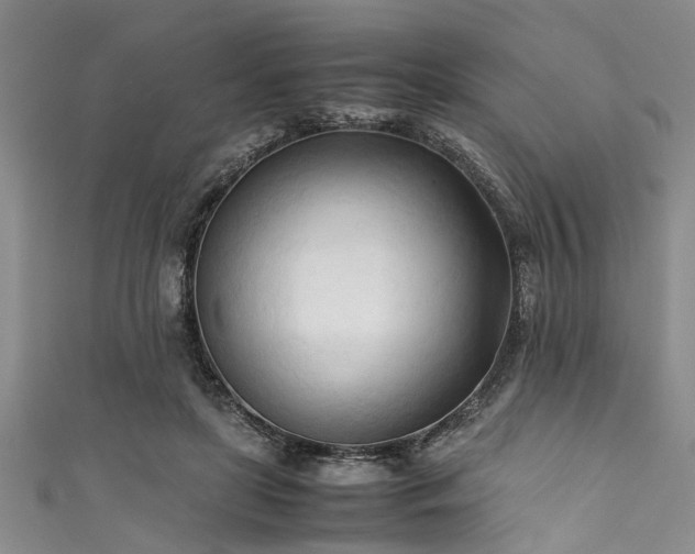 X0000111600451200907161556
