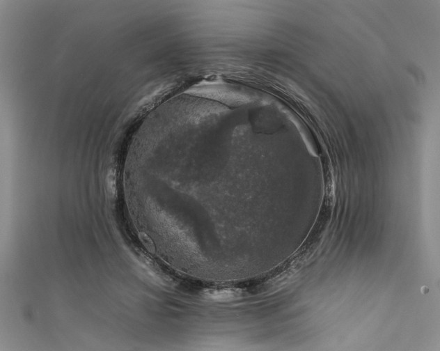 X0000111600452200907161556
