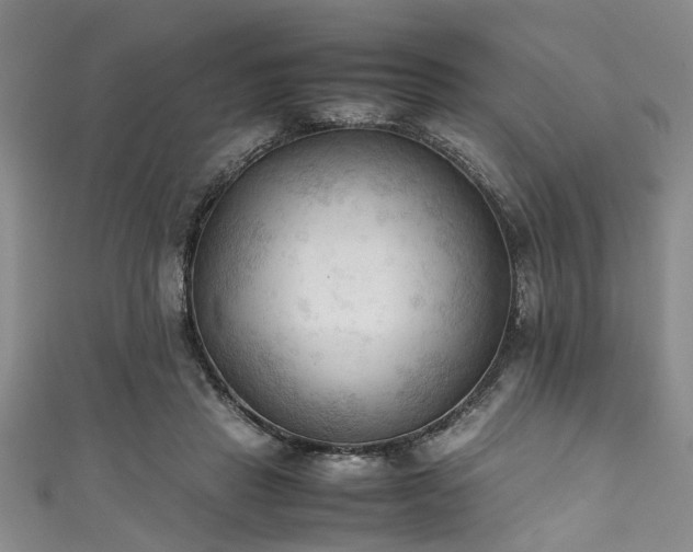 X0000111600453200907161556