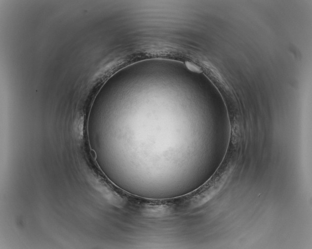 X0000111600454200907161556