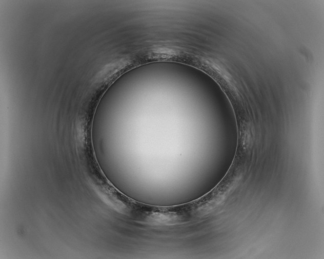 X0000111600455200907161556