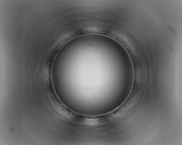 X0000111600457200907161556