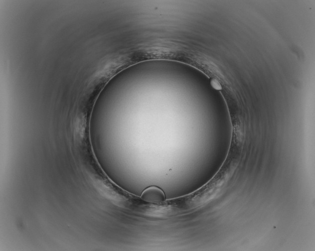 X0000111600458200907161556