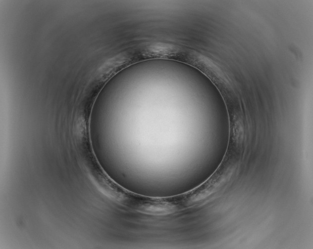 X0000111600459200907161556