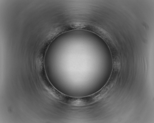 X0000111600460200907161556