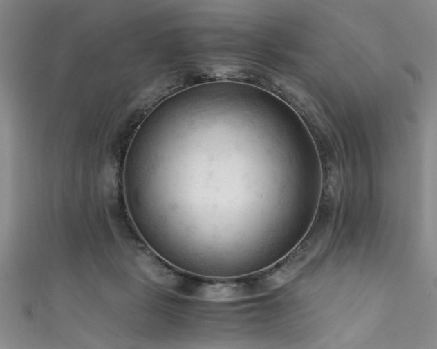 X0000111600461200907161556