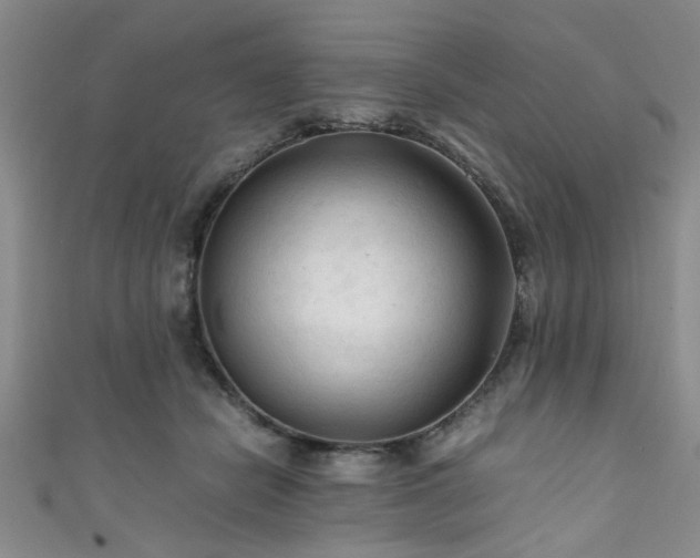 X0000111600462200907161556