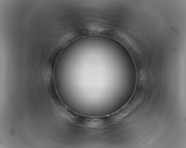 X0000111600463200907161556