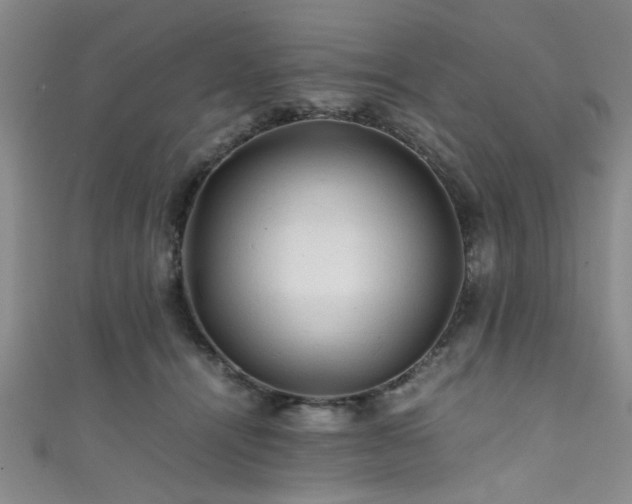 X0000111600464200907161556