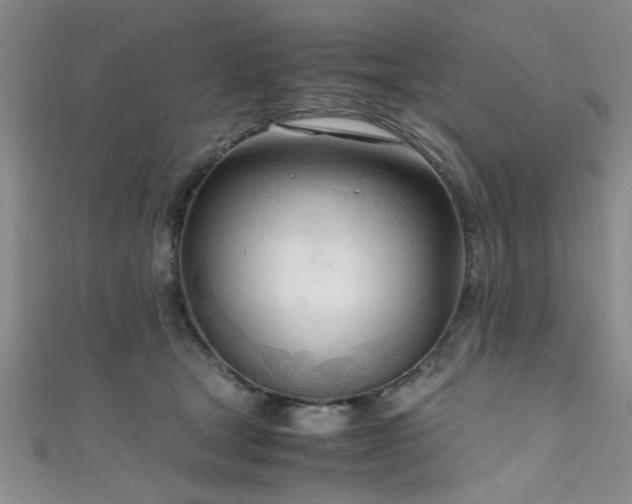 X0000111600465200907161556