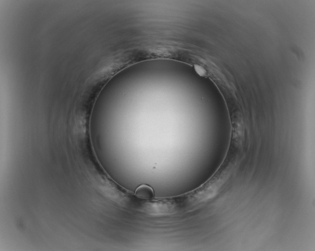 X0000111600466200907161556