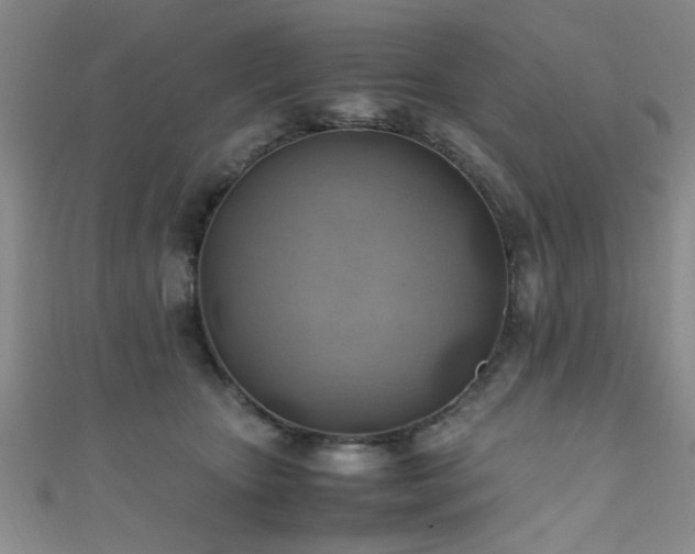 X0000111600467200907161556
