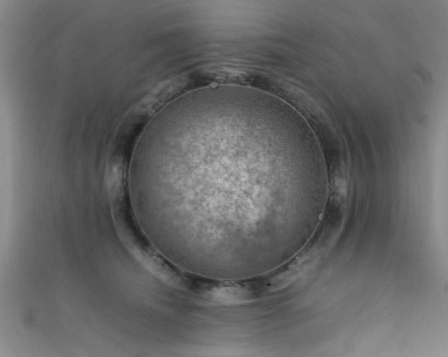 X0000111600468200907161556