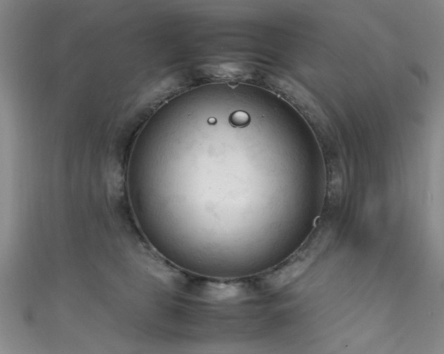 X0000111600469200907161556