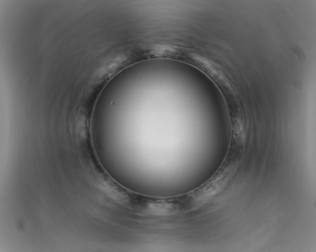 X0000111600470200907161556