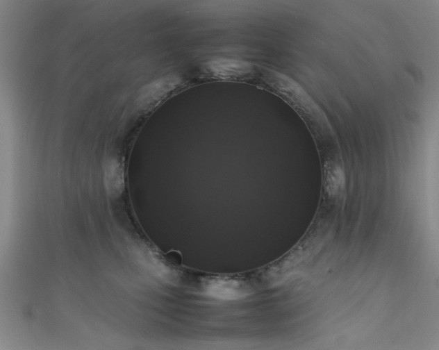X0000111600471200907161556