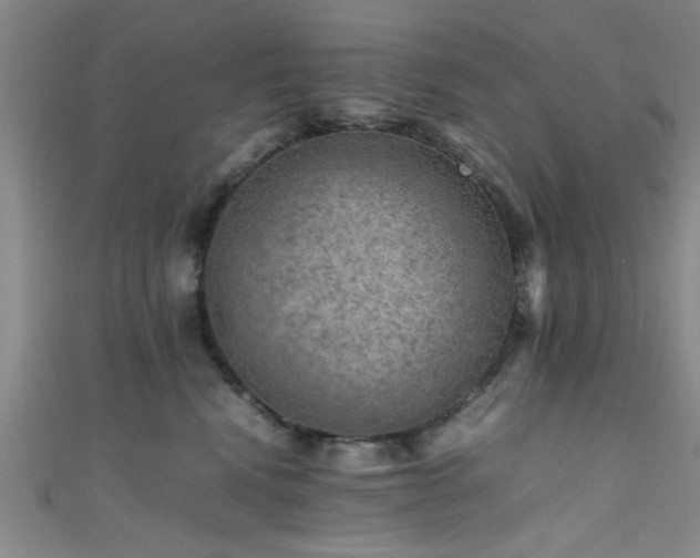 X0000111600472200907161556