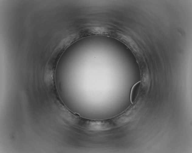 X0000111600473200907161556
