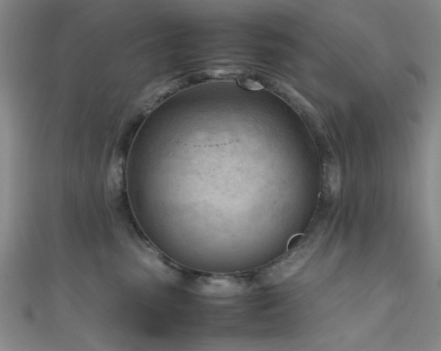 X0000111600475200907161556