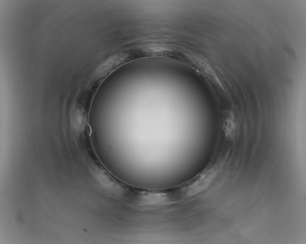 X0000111600476200907161556
