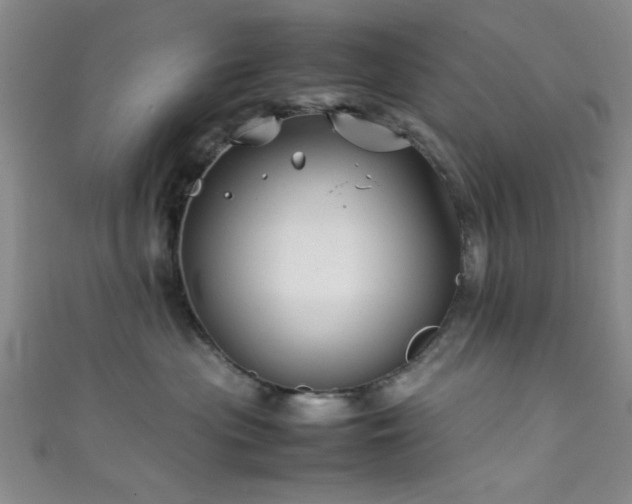X0000111600477200907161556