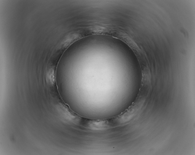 X0000111600479200907161556