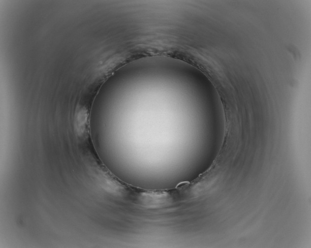 X0000111600480200907161556