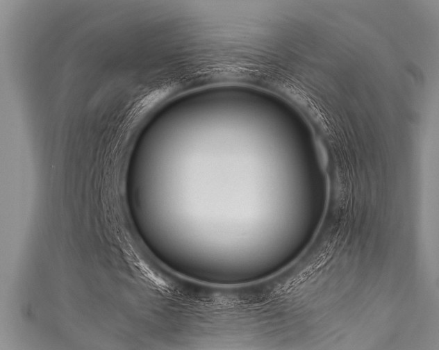 X0000111600481200907161556
