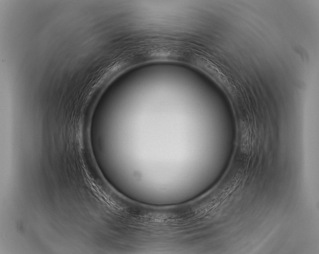 X0000111600482200907161556