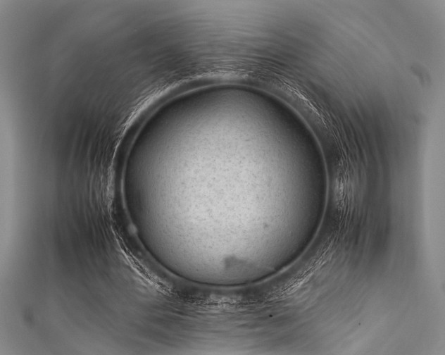 X0000111600484200907161556