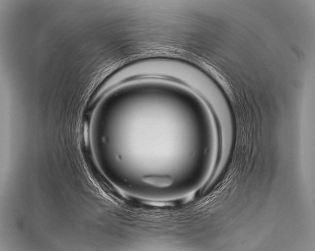 X0000111600485200907161556
