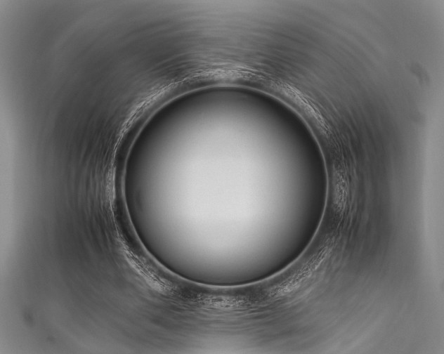 X0000111600486200907161556