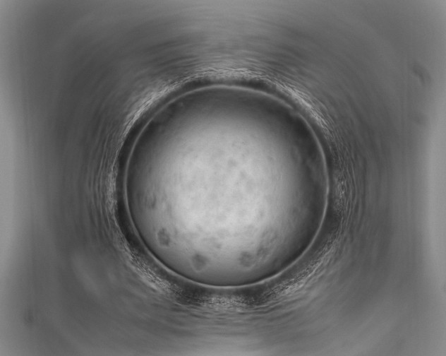 X0000111600487200907161556