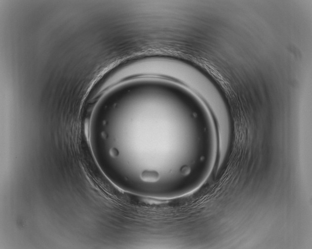 X0000111600488200907161556