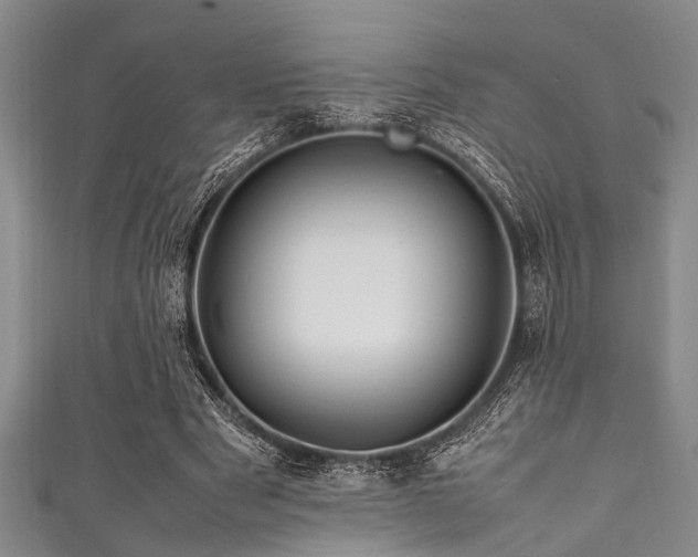 X0000111600489200907161556