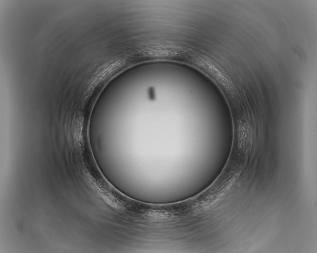 X0000111600490200907161556