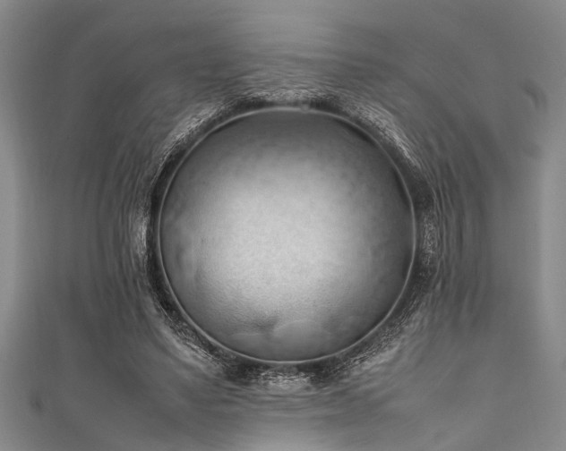 X0000111600491200907161556