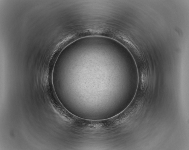 X0000111600492200907161555