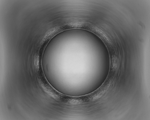 X0000111600494200907161555