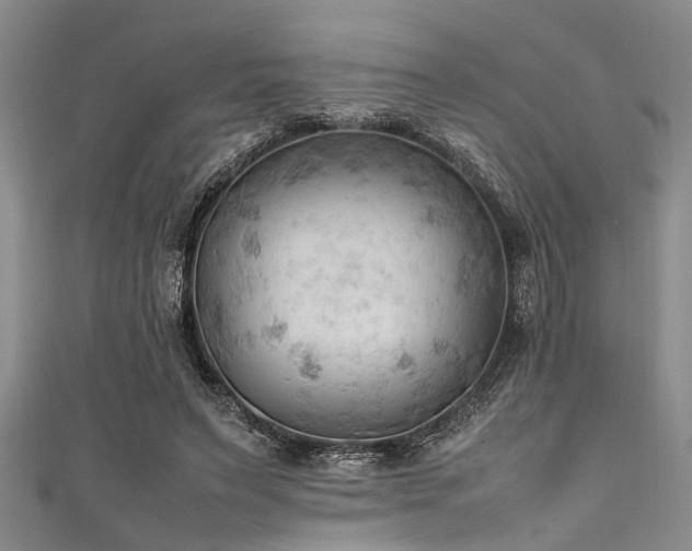 X0000111600495200907161555