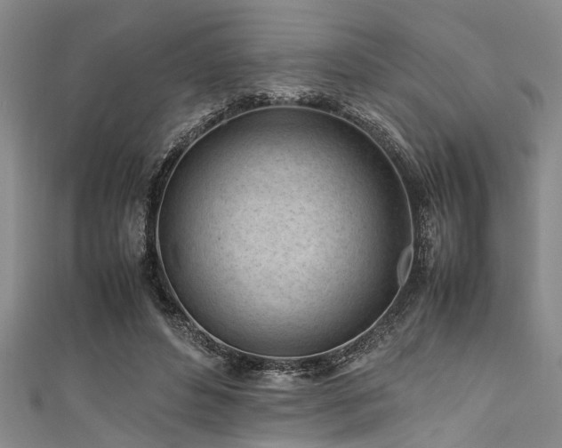 X0000111600496200907161555