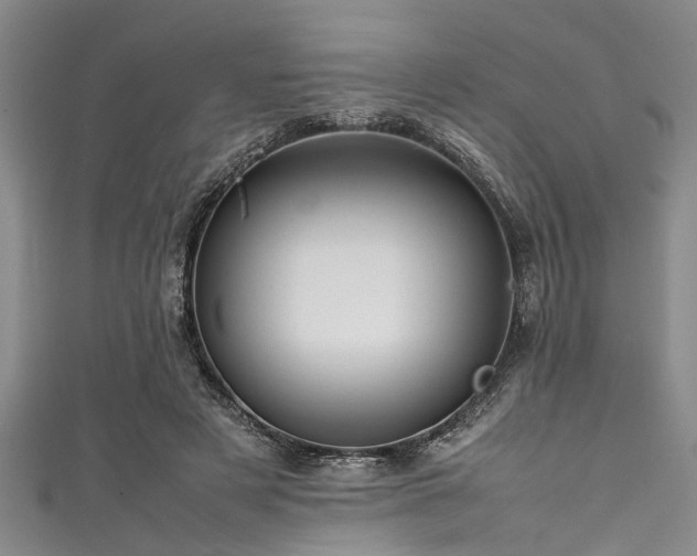 X0000111600497200907161555